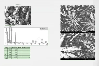 SEM micrograph