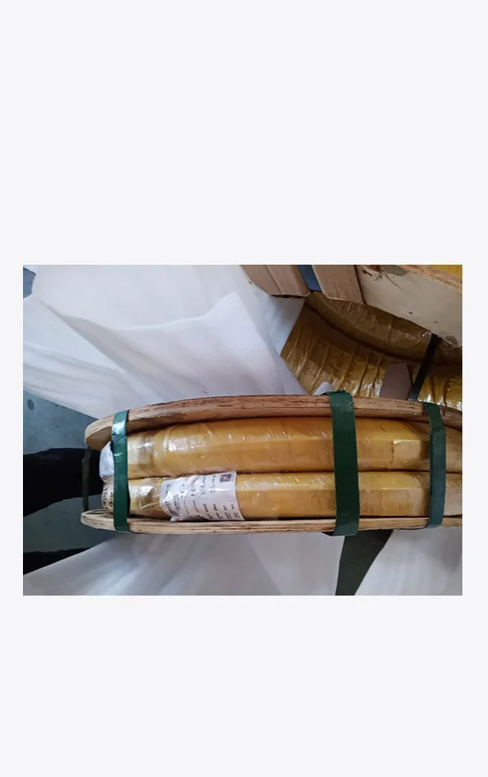 Chi tiết bảo vệ sản phẩm